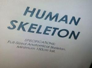 HUMAN SKELETON Specifications: - Full-Sized Anatomical Skeleton - Minimum 150cm tall.